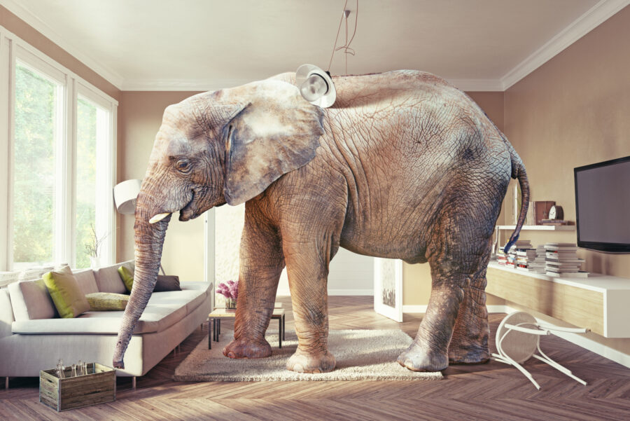 The Elephant in the Family Room: Diminished Financial Capacity